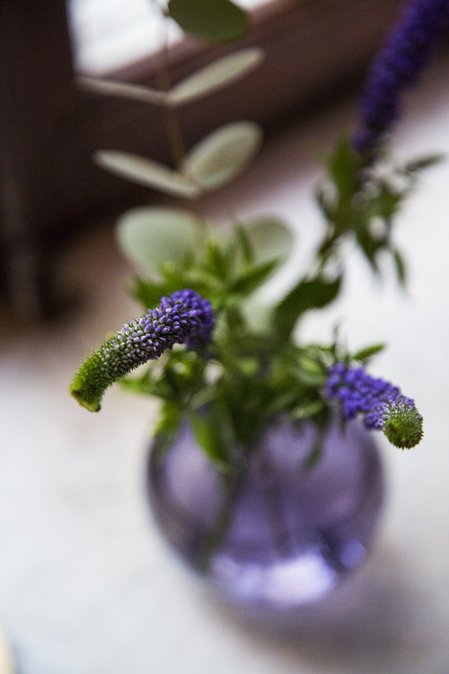 tumblr_inline_n26rblcJuG1sbxggi