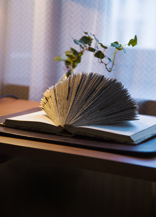 tumblr_inline_n4qlldBd9z1sbxggi